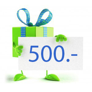 bon-cadeau-500